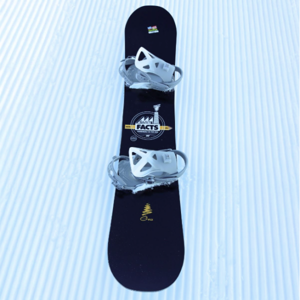 Deska snowboardowa GNU Facts 25/26