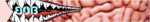Gogle BOB Brain Washer + Szyba Czysta S0/S1